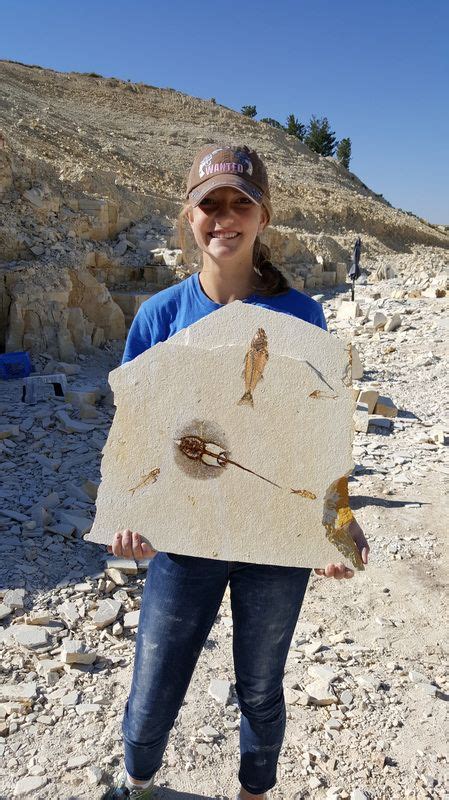 public fossil hunting in wyoming.